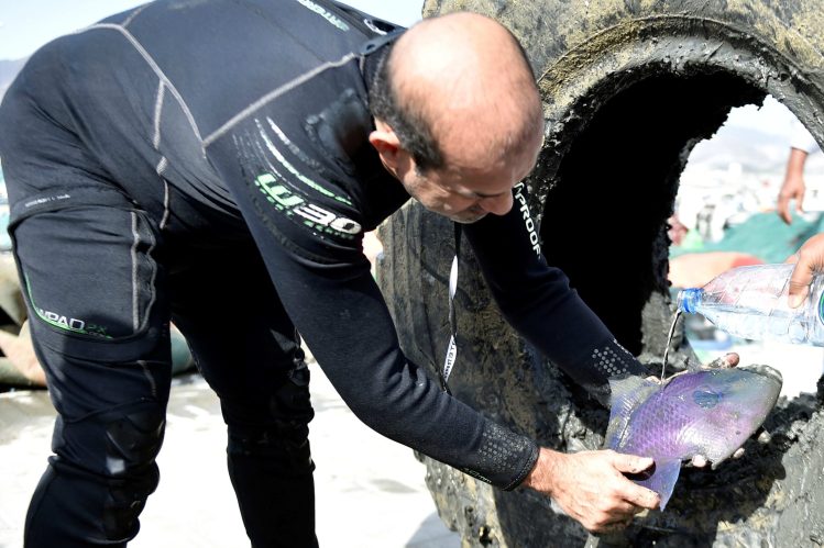 Sharjah Museums Authority’s Annual Beach Clean-Up: A 13-Year Commitment to Marine Conservation Image of volunteers cleaning the beach: "Sharjah Museums Authority volunteers participating in the annual beach clean-up."