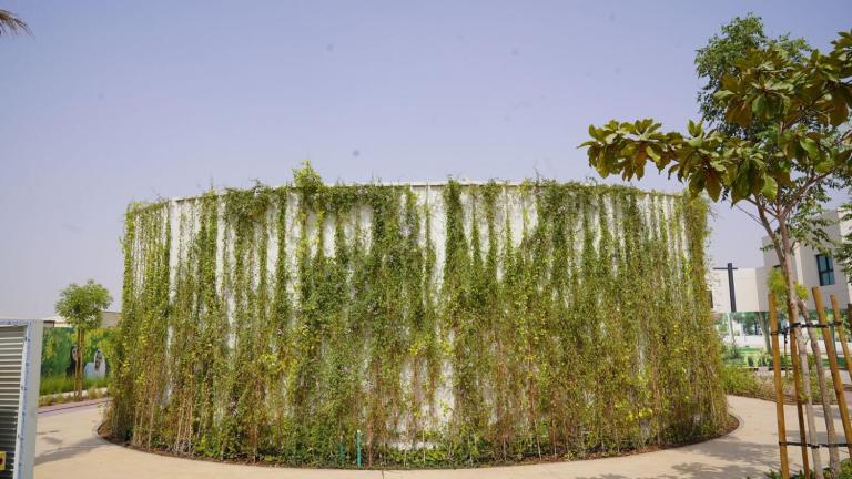 Sustainable Living in the UAE: How Residents Are Adopting Eco-Friendly Lifestyles sustainable living