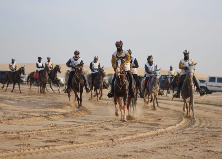On January 8th, the 14th edition of the Dubai Crown Prince Endurance Cup will take place
