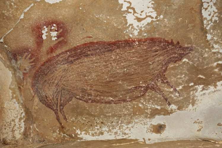 45,000-Year-Old Cave Painting of a Pig May Be the Oldest Artwork in the World