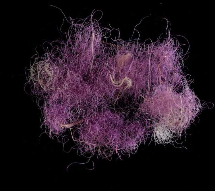 Textiles With a Purple Sea-Snail Dye That Was Once More Valuable Than Gold Discovered In Israel