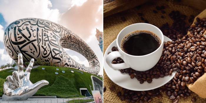 Museum of the Future’s New Coffee Blend: A Unique Taste Experience Museum of the Future